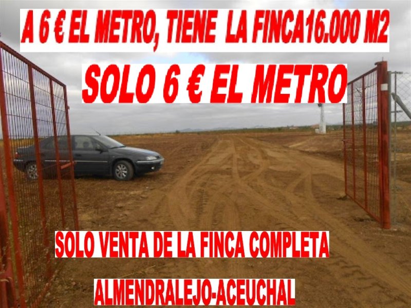 A PARCELA A 6 EUROS EL METRO CON LUZ Y AGUA PARCELA A 6 € EL METRO JUNTO A CTR.