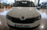 SKODA RAPID 1600 TDI DE 115 CV